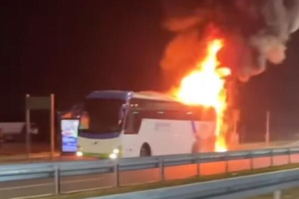 Vatra guta autobus kod Surčina: Zadnji deo skroz u plamenu, prizor je užasan (VIDEO)