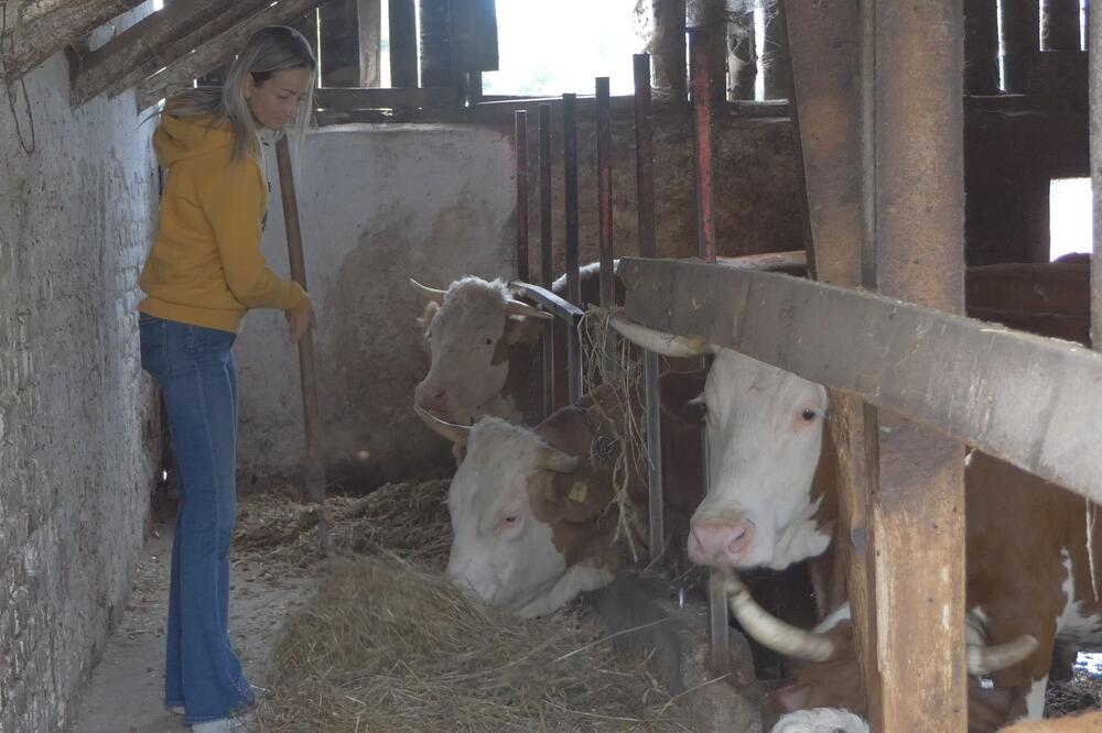 Ustaje u 6, muze krave, štale su joj pune: Jasmina napustila apoteku, pa u rodnom selu sa mužem razvila posao! FOTO