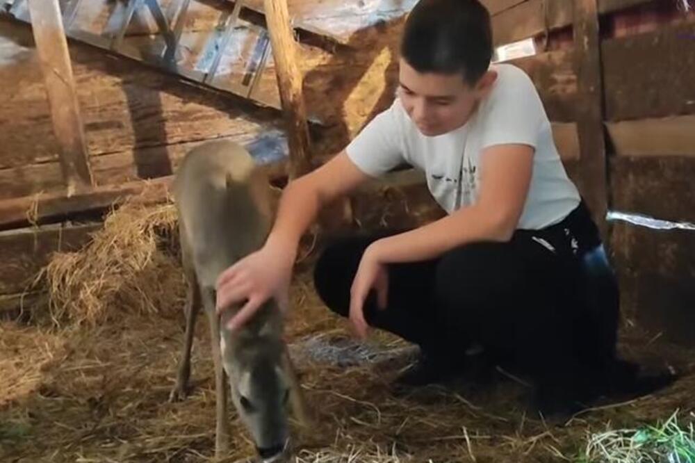 Dok je brao jagode u šumi, Nikola čuo tužne zvuke: Usledilo je prijateljstvo o kojem se čuje samo u pričama! VIDEO