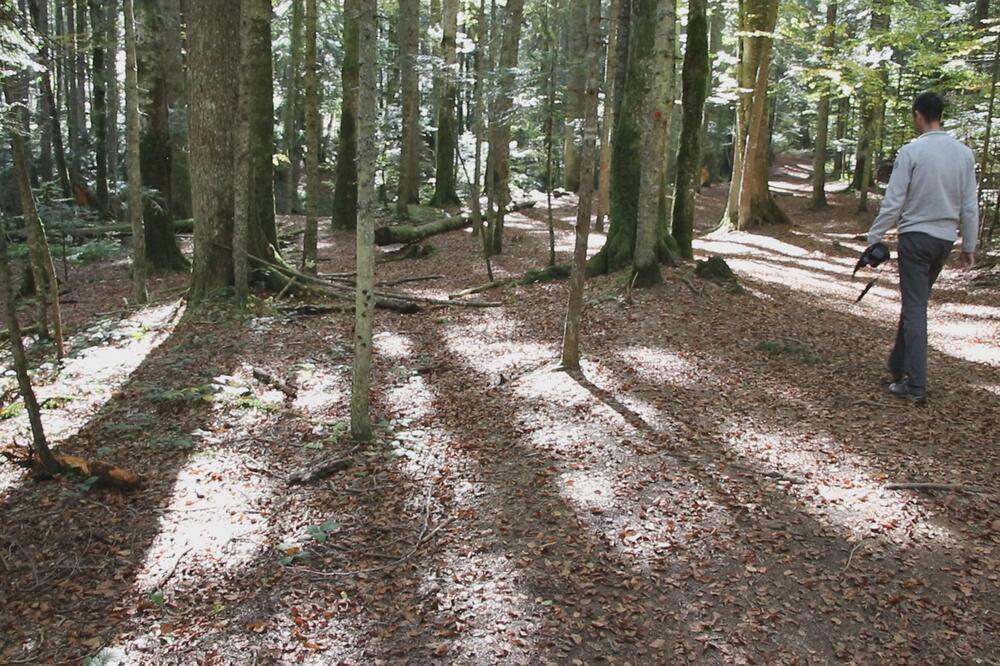 Srpska planina koju Đoković obožava krije neverovatne bisere prirode: Posebna je livada koju ne smete gaziti (FOTO)