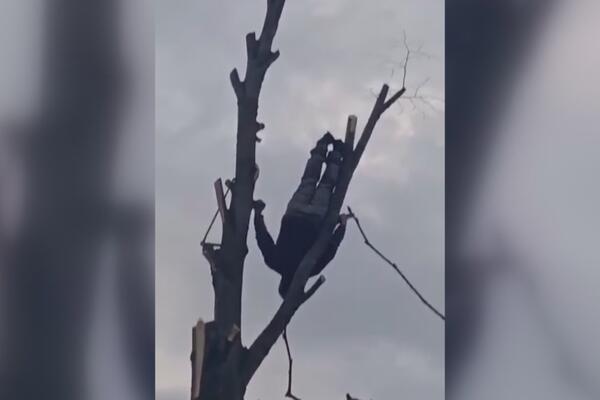 Stoji naopačke na banderi, radi salto dok trepneš: Mića iz sela Sikirica gazi 7. deceniju, a živi ko mladić (FOTO)