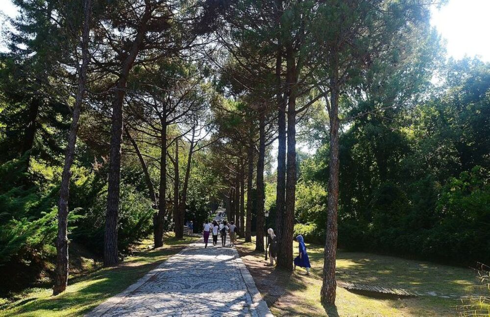 Staza u Ataturkovom arboretumu u Beogradskoj šumi u Istanbulu