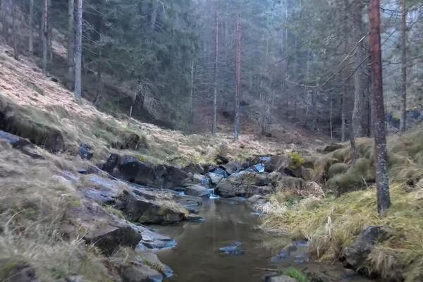 Srbin 50 godina živeo u šumi na Maljenu kao pračovek: Stanimir napustio civilizaciju zbog strašne stvari...