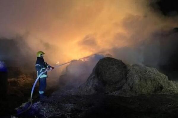 Veliki požar u Čelarevu: Vatrogasci se satima bore sa vatrenom stihijom (FOTO)