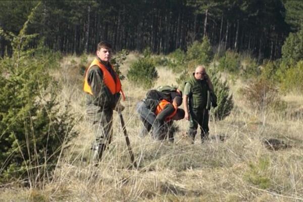 "POSADIĆEMO HILJADU SADNICA NA MESTU GDE JE BIO POŽAR KOD KRALJEVA" Akcija Zasadi drvo koju su pokrenuli WMG i DM