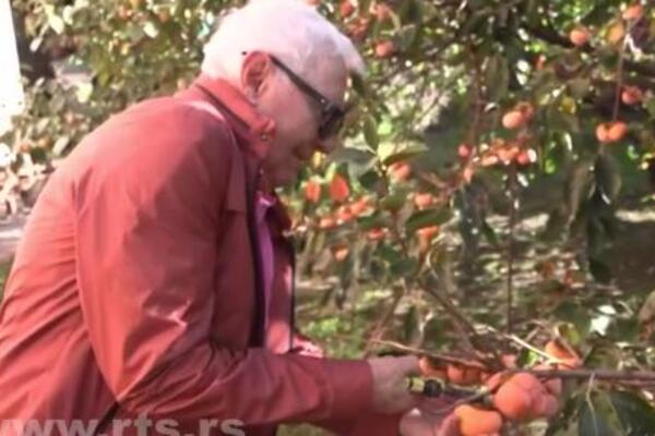 Ljudi se šokiraju kad čuju šta u dvorištu uzgaja penzioner iz okoline Kraljeva! Razvio biznis iz snova (FOTO)