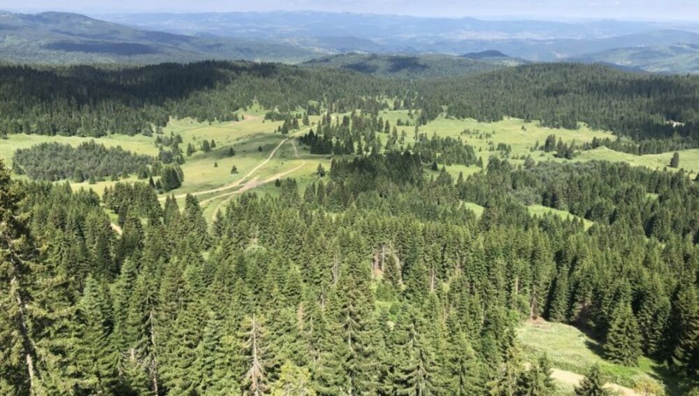 Mojstirsko - Draške planine, Specijalni rezervat prirode Mojstirsko-Draške planine, park prirode