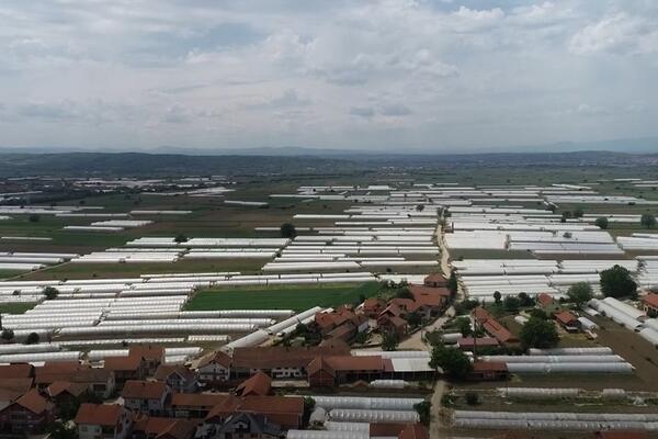 Otkad se ovde udala, Milica živi bolje nego u gradu: Selo na jugu Srbije puno lux kuća i dece, a u njivu se ide...