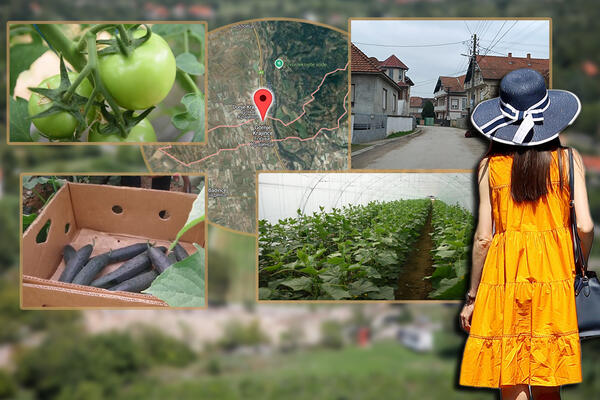 Otkad se ovde udala, Milica živi bolje nego u gradu: Selo na jugu Srbije puno lux kuća i dece, a u njivu se ide...