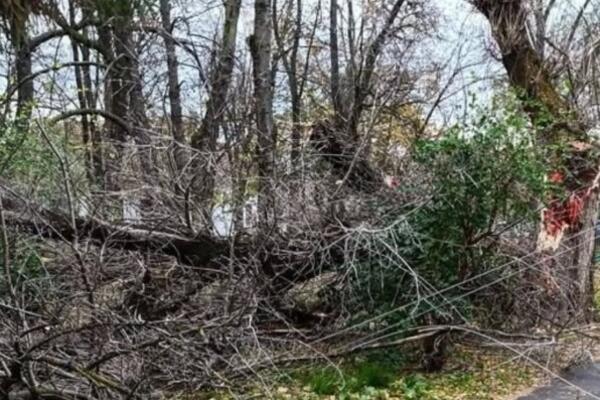 Olujno nevreme napravilo veliku štetu u ovom delu Srbije! Stabla zakrčila puteve, stigla struja u veći deo sela!