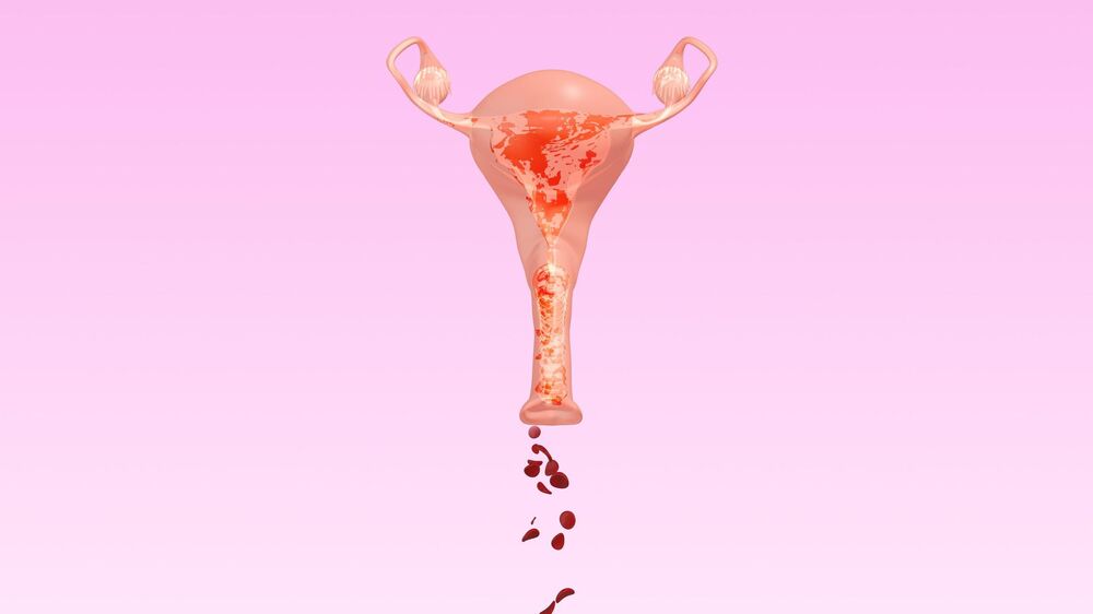 Menstruacija