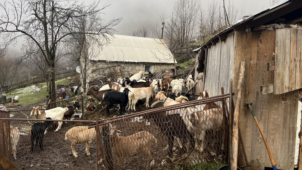 Ona kaže da sada kada žive u selu jako retko idu u Rusiju ili u Bar