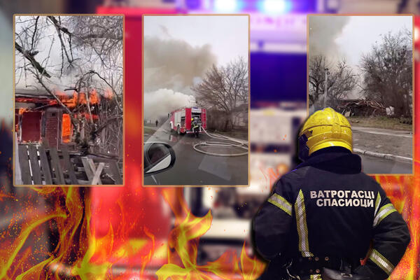 Deca i majke plaču na ulici, stižu nova vatrogasna vozila: Vatra na Adi Ciganliji se otima kontroli! (VIDEO)