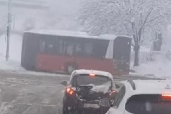 Autobus stao i NE POMERA SE! Sneg doveo do žestokog kolapsa i u ovom delu Beograda! (VIDEO)