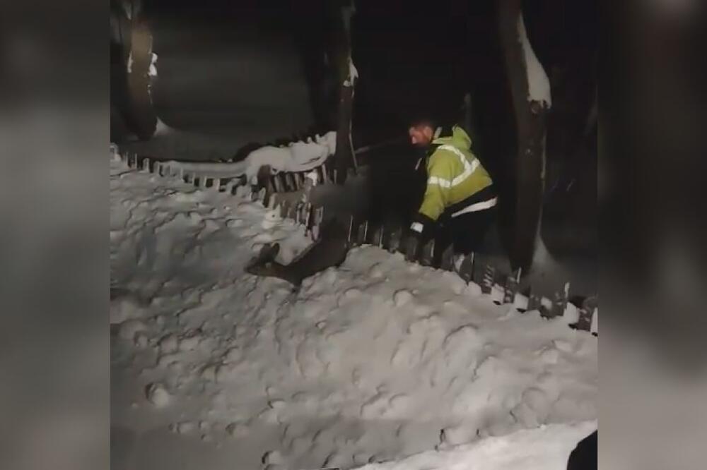 Mučena srna se zaglavila u snegu u selu Dobroselica, a onda su stigli tihi heroji: Spasili su joj život! (VIDEO)