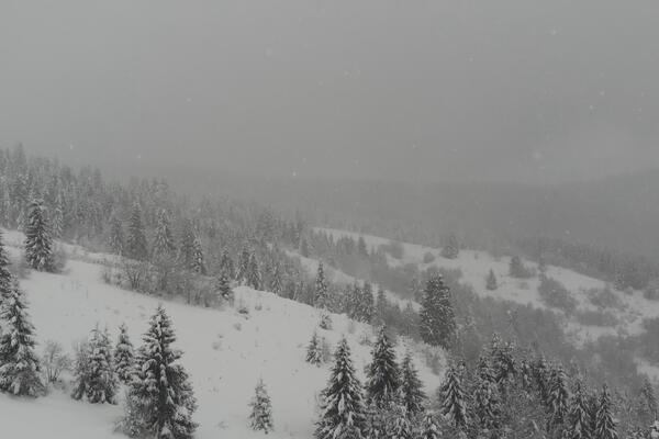 Ovo je jedna od najlepših, ali i najjeftinijih planina u Srbiji: Vikendica za čitavu porodicu košta samo 30 evra