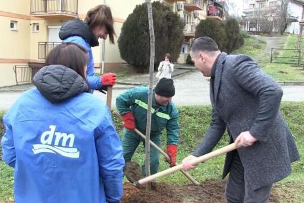 "OVO JE DOKAZ VELIKE BRIGE VRNJAČKE BANJE PREMA ZAŠTITI ŽIVOTNE SREDINE" Akcija Zasadi drvo i fokus na japan