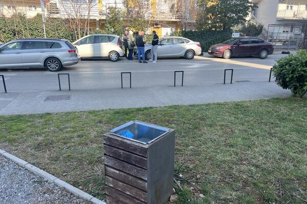 Uhapšena majka koja je tek rođenog sina bacila u kantu za smeće: Radnik čistoće u šoku, mislio da je lutka! (FOTO)